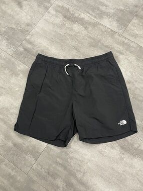 Men’s large the north face flashdry action shorts